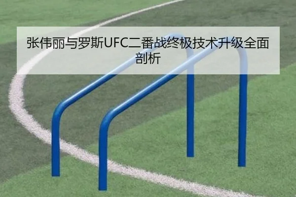 张伟丽与罗斯UFC二番战终极技术升级全面剖析